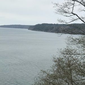 Meet your Posher, Saifa